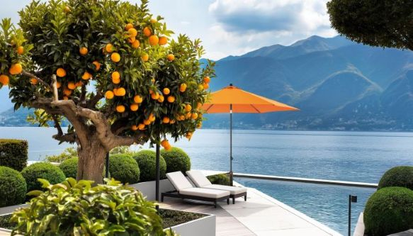 Parasol à mât central - banner